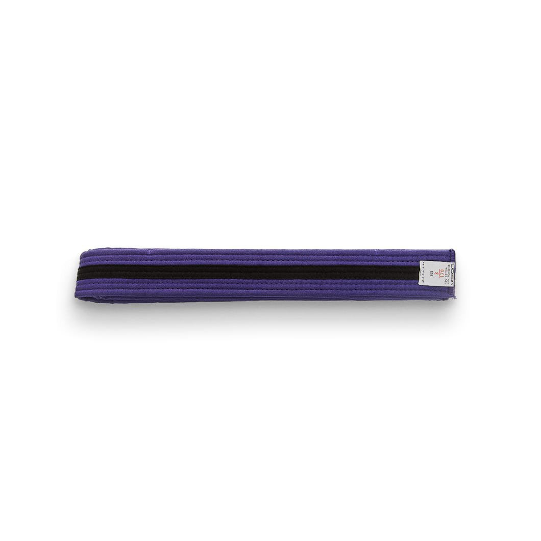 STRIPED BELT PURPLE